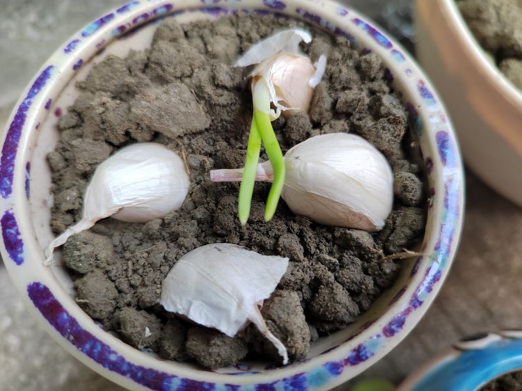 微信图片_20220314105508_jpg