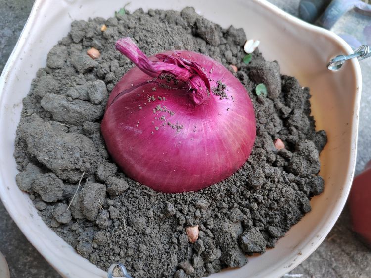 微信图片_20220314105512_jpg