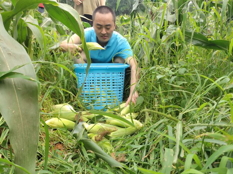 微信图片_20220624134227_jpg