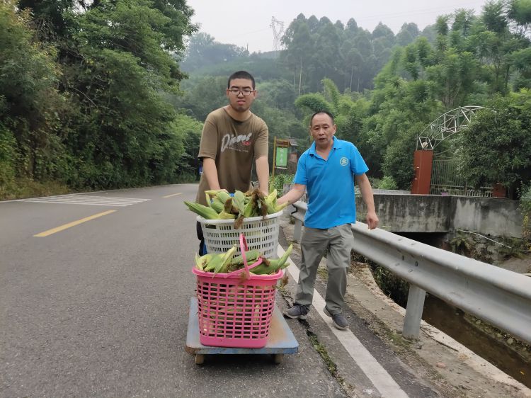 微信图片_20220624134231_jpg