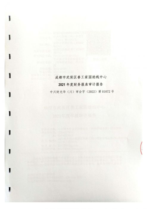 审计报告小_01_jpg