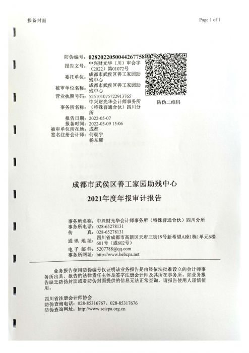 审计报告小_02_jpg