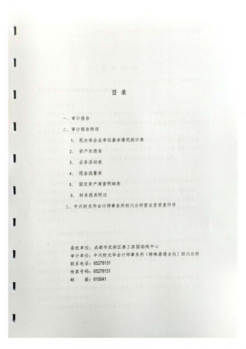 审计报告小_03_jpg