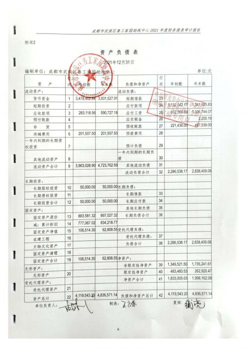 审计报告小_09_jpg