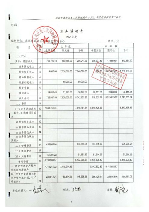 审计报告小_10_jpg