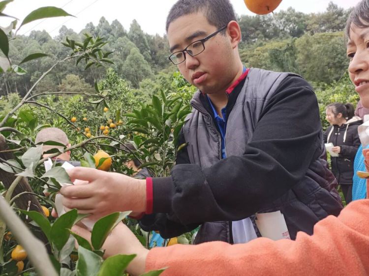 A8166CA8E242D4FF779BF959E430B18B_750_750_jpg