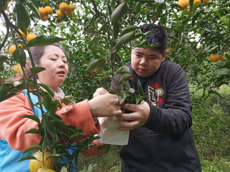 IMG20201103153417_jpg