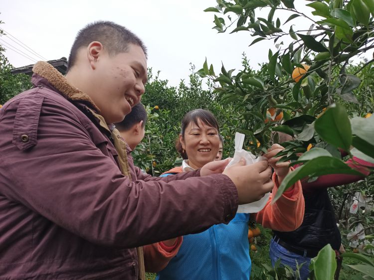 IMG20201103153105_jpg